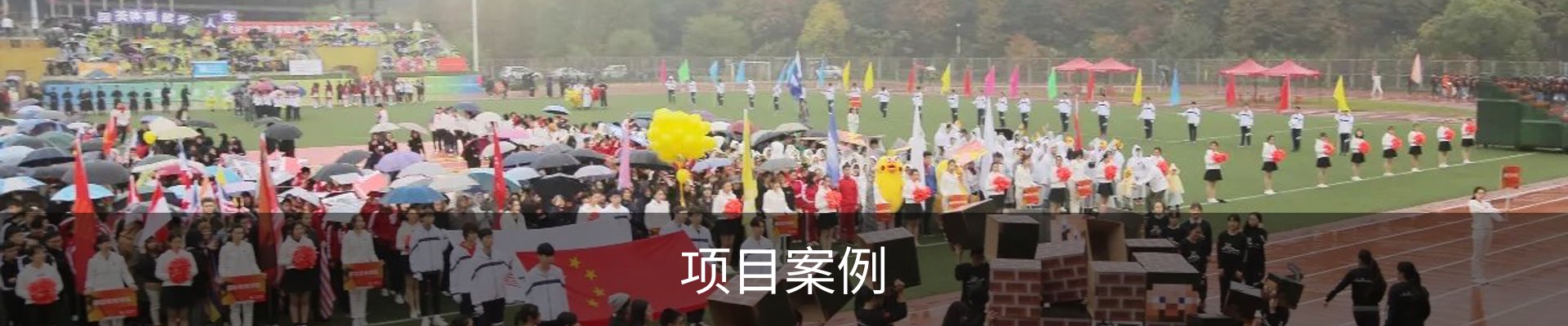 项目案例